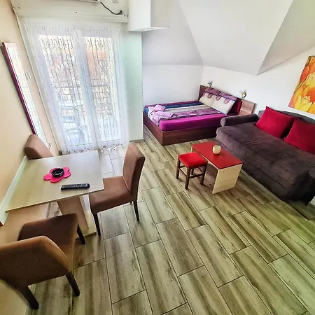 Apartman Aleksandra 2 14