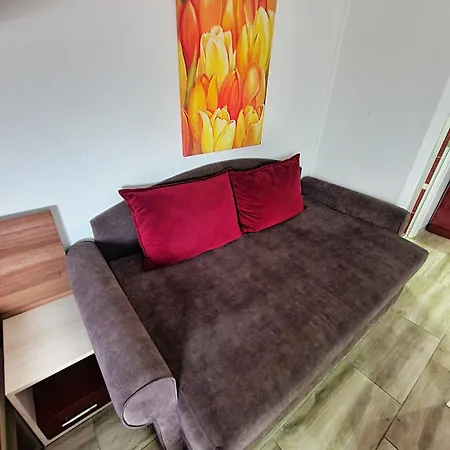 Aleksandra 2 14 Sokobanja