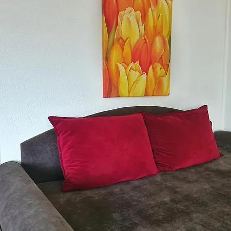 Apartman Aleksandra 2 14 *