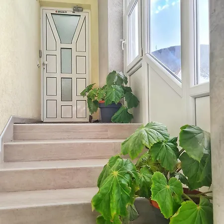 Aleksandra 2 14 Sokobanja